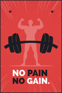 No Pain No Gain | Gym Poster | HD Motivational Wall Poster ...