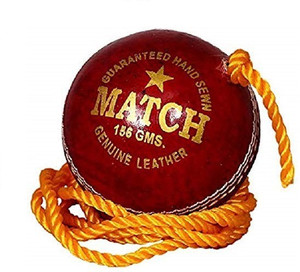 Gortonshire Leather Cricket Training Ball Red