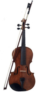 Blue panther violin clearance