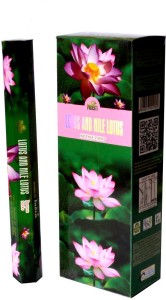 Details about   Lotus and Nile Lotus Sreevani Incense Incense Stick Box 120 Sticks 