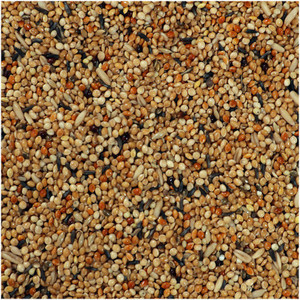 Paxidaya Mix Seed 13-14 Type for Budgies, Love Birds,Cocktails and ...