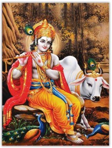 Lord Krishna with cow and peacock Sparkle Coated Self Adesive Poster  Without Frame Paper Print - Religious posters in India - Buy art, film,  design, movie, music, nature and educational paintings/wallpapers at