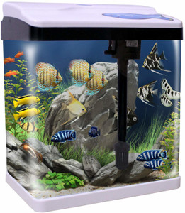 jainsons aquarium