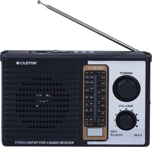 Máxima Leer cantante CASTOR CTFM100U Portable Radio, USBSDMP3 Player & Dynamic Speaker 4 Band,  Black FM Radio - CASTOR : Flipkart.com