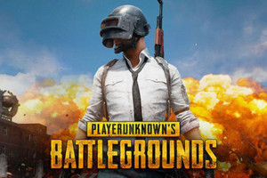 Player'sunknowm Battleground (PUBG) (PC) Price in India - Buy Player