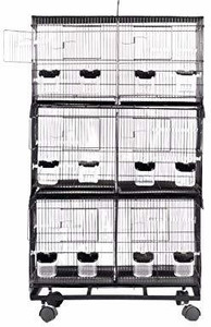 bird cage with partition