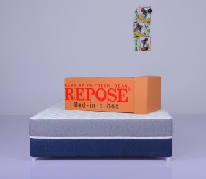 repose mattress 6 inch