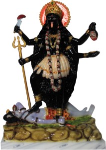 Salvus App Solutions Göttin Kali Mata Statue Gott Rani Maa Kalka Ji I 
