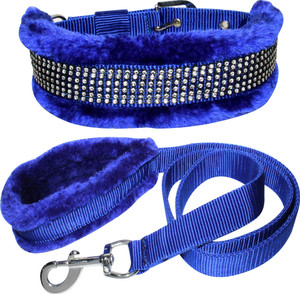 amazon dog belt