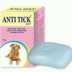 soap for dog lice