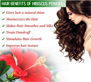 nature pulse 100 % Natural chemical free pure ORGANIC Hibiscus Powder for  Natural Hair Growth HAIR FOOD PACK for hair treatments & hair growth (200  GM) - Price in India, Buy nature