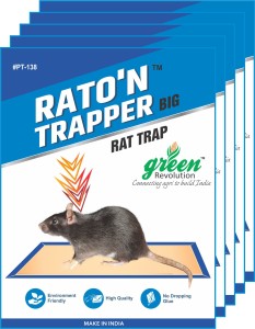 big rat glue trap