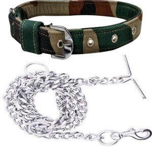 dog chain belt