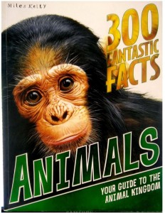 300 Fantastic Facts Animals: Buy 300 Fantastic Facts Animals by Johnson  Jinni at Low Price in India 