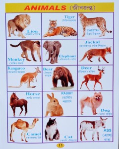 Animals Recognition Word Book For Nursery Kid's: Buy Animals Recognition  Word Book For Nursery Kid's by Editorial Team at Low Price in India |  
