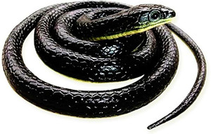Toy snake prank clearance