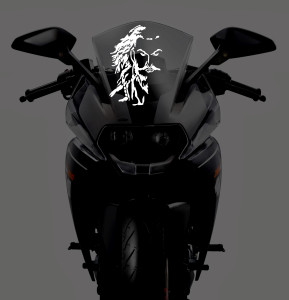 bike back sticker