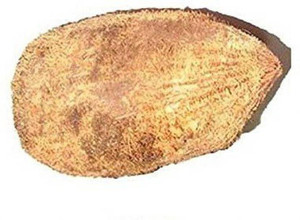 HERBAL AID Havan Item Price in India Buy HERBAL AID Havan Item online
