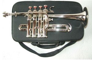 new jai bharat musicals Bb Flugelhorn Low Pitch Brass Musical Instrument for Intermediate Student with Cushioned Hard Case