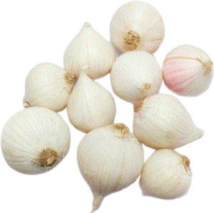 Sozal Single Clove Fresh Garlic Ek Putia Lehsun 400 Gm Price In India Buy Sozal Single Clove Fresh Garlic Ek Putia Lehsun 400 Gm Online At Flipkart Com
