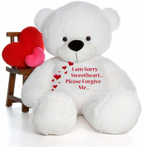 Am sorry teddy bear new arrivals