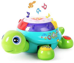 Musical turtle sale toy