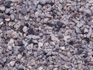 bird gravel for finches