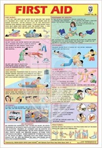 First Aid Chart In English Chart [wall Chart] Book Depot (map House 