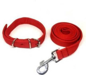 Ancol Collare Cane Neoprene Imbottito Nylon Nero Blu Rosso Rosa - Foto 12