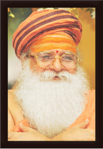 sharnanand ji maharaj holi pics
