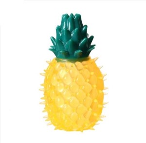 dog toy pineapple