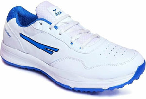 Sega shoes booster