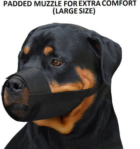 large muzzle