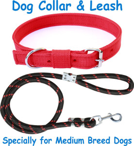 nylon dog leads