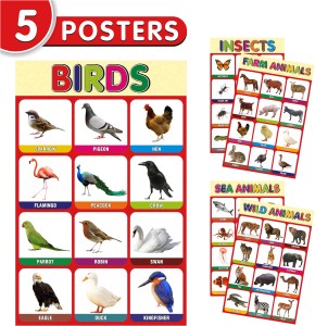Early Learning Posters for Kids Preschool Includes Birds , Insects , Wild  Animals, Sea Animals and Farm Animals (5 Posters Set) Paper Print -  Educational posters in India - Buy art, film,