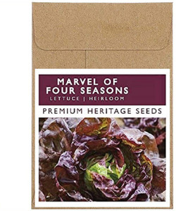 Four Seasons Lettuce Seed - Greenpatch Organic Seeds