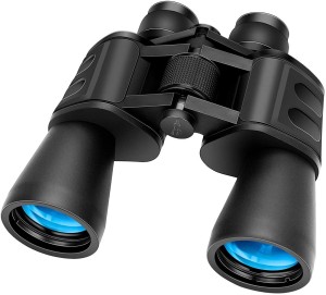 Camping Travel Lightweight Binoculars 10x25 HD Quality BAK 7 Roof Prism Best for Bird Watching Fogproof and Waterproof Hunting Hiking Compact 