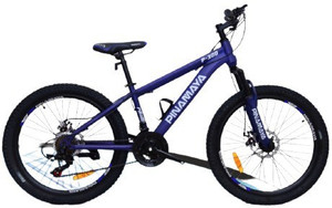 Pinamaya prime-300 21 speed 24\