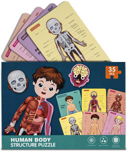 baybee Wooden Human Body Parts Structure Jigsaw Puzzle Cards Set for ...