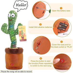 cactus toy music