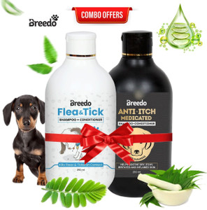 Breedo Dog(Combo of 2) Dog Flea & Tick Shampoo + Anti -Itch Shampoo 250 ... - Dog Flea Allergy Itch Relief