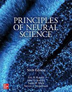 Principles of Neural Science(IE)-6E: Buy Principles of Neural