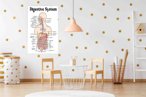 Kids Education Sticker Poster On "Digestive Sytem"|Sticker Poster For ...