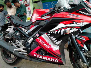 Shark decal motorcycle 2025