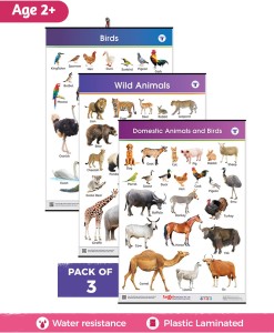 Target Publications Jumbo Domestic and Wild Animals & Birds Charts for Kids  | Learn about Pet, Tame and Wild Animals & Birds at Home or School with  Educational Wall Chart for Children | (