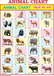 Early Learning Educational Charts for Kids | Animals Chart For Kids |  20x30Inch (51x76cm)| Laminated chart | Perfect for Homeschooling,  Kindergarten and Nursery Students| Waterproof and Non tearable Wall Chart |  Gloss