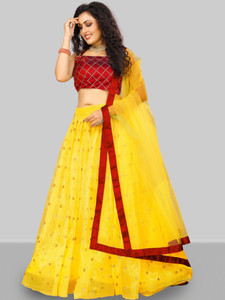 Dhadhra choli deals