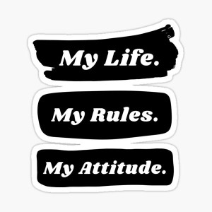Attitude bike outlet logo stickers