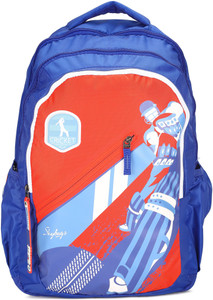 Skybags price in big bazaar clearance