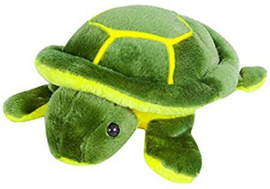 turtle teddy bear